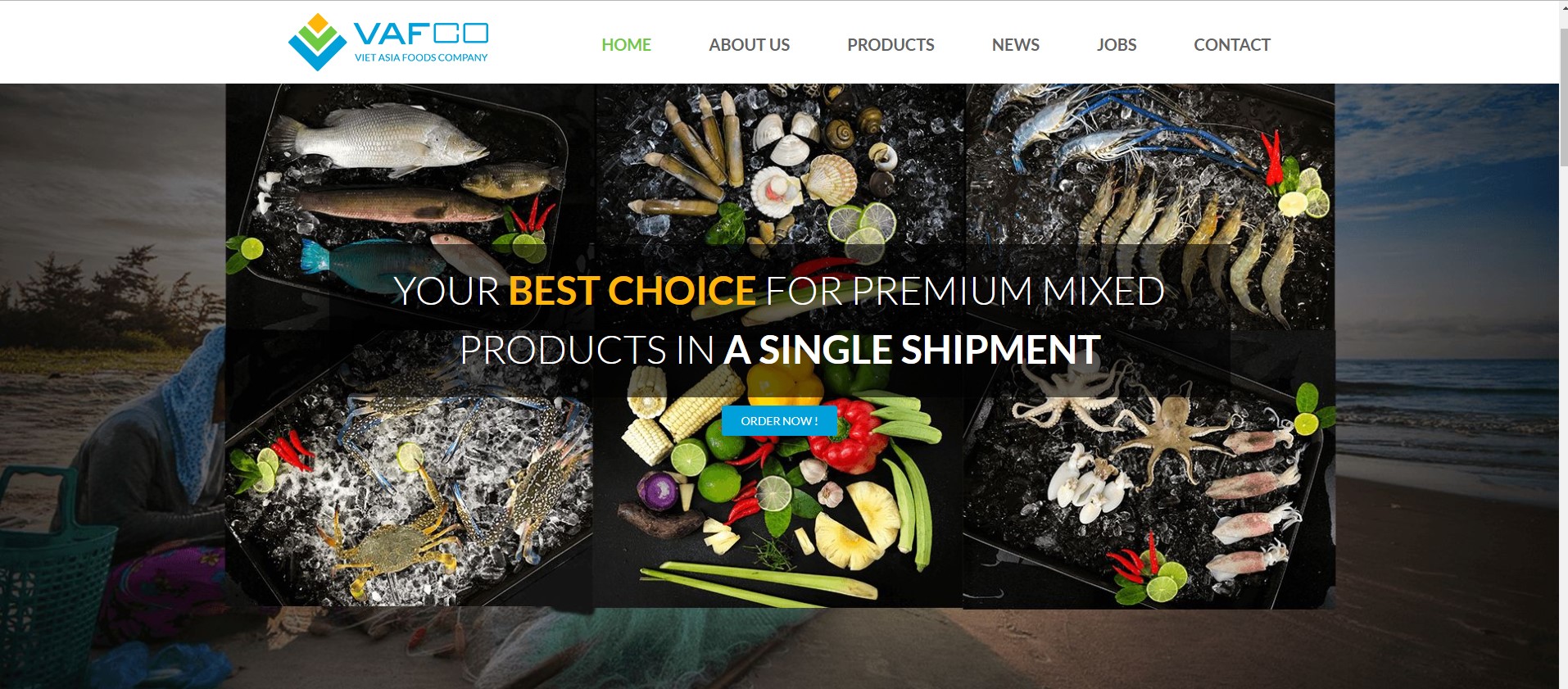 Thông tin tổng quan, khó khăn và kết quả đạt được của dự án VAFCO (Viet Asia Foods Company)