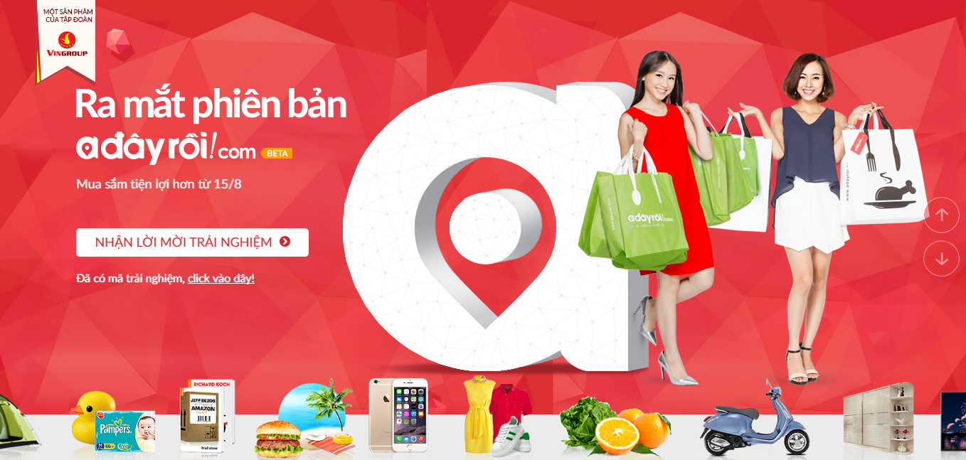 Thông tin tổng quan, khó khăn và kết quả đạt được của dự án Adayroi - Vingroup