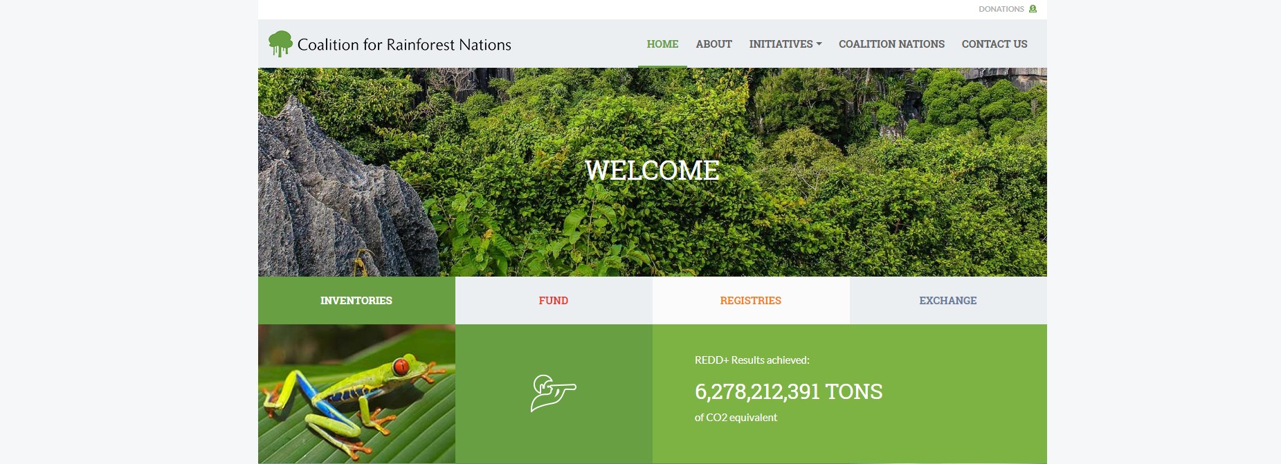 Thông tin tổng quan, khó khăn và kết quả đạt được của dự án REDD - Rainforest